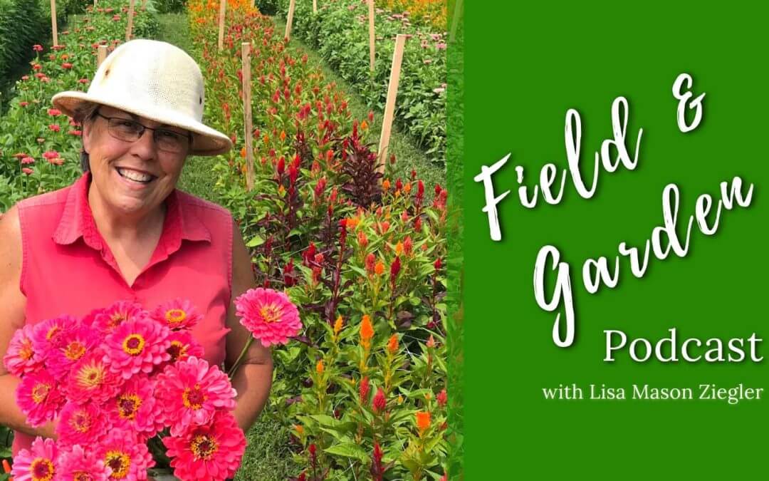#155: Lisa’s Top Podcast: The Untold Gifts of a Cutting Garden