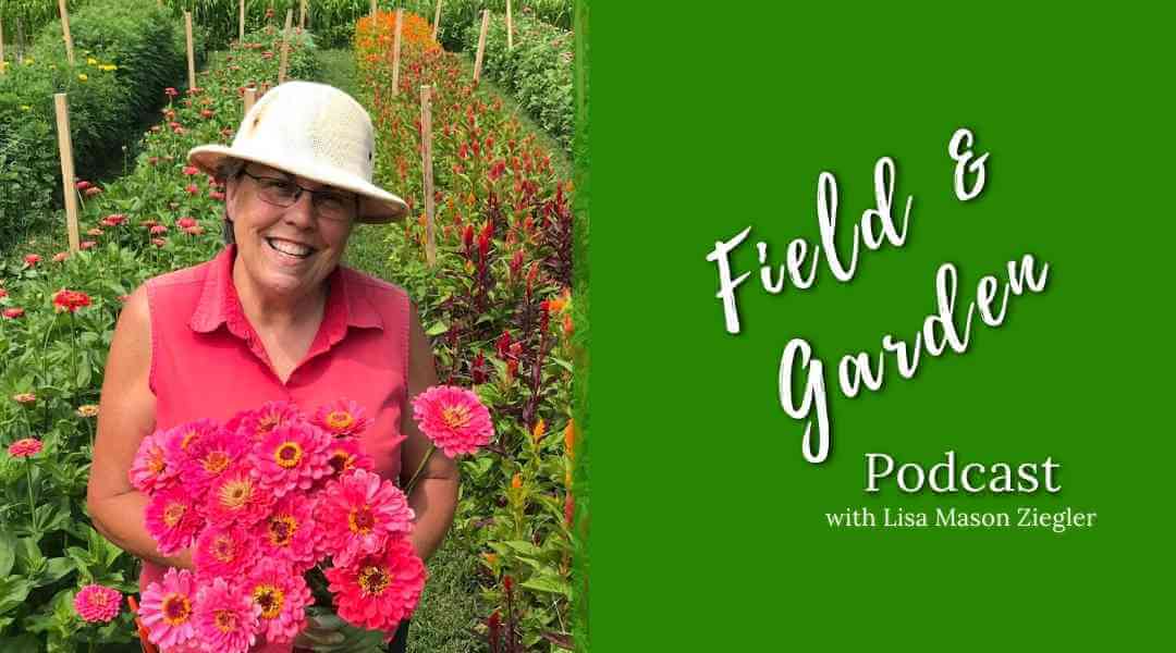 #133: The Past, Present and Future of Sunny Meadows Flower Farm