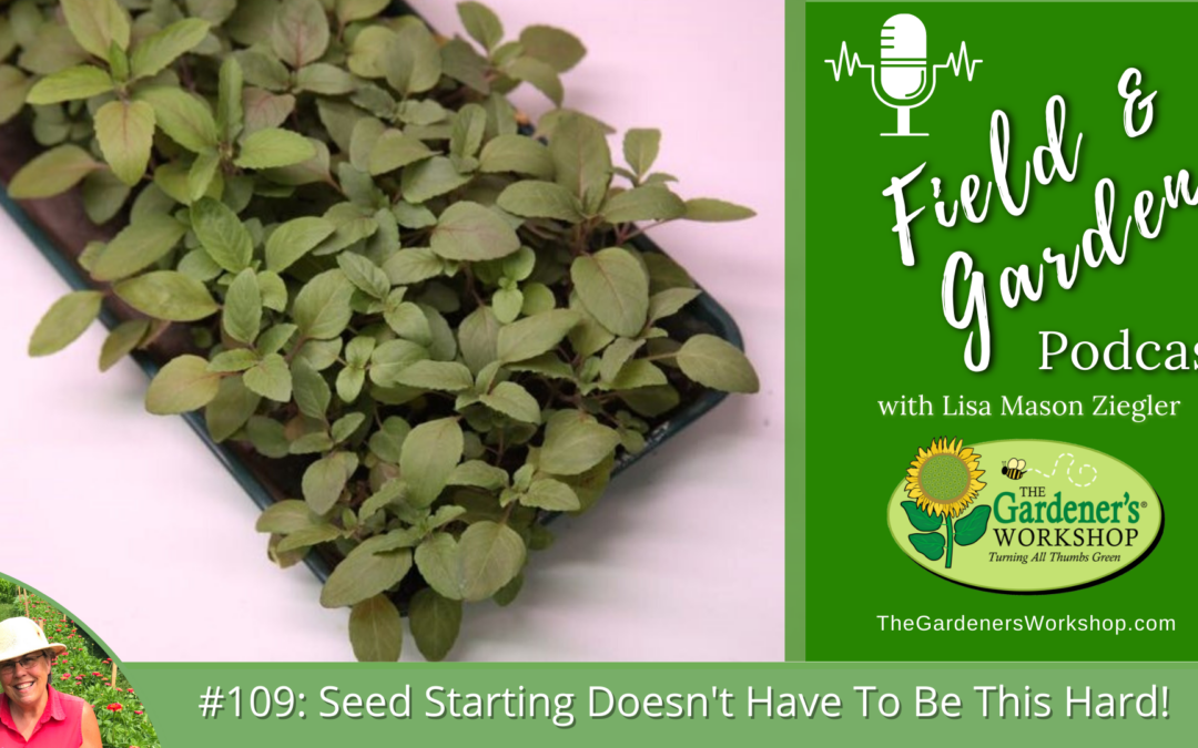 #109: Listen Again: Seed Starting Doesn’t Have To Be This Hard!