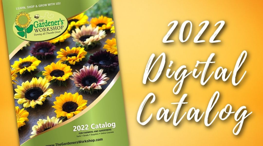 2022 Digital Catalog