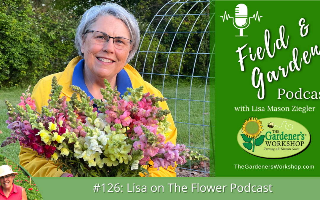 #126: Lisa on The Flower Podcast (finding your niche market & business model, top 5 flowers to grow)