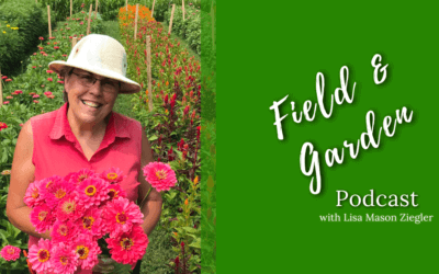 #211: Growing Snapdragons with Dave Dowling (Best of ’22 Replays)