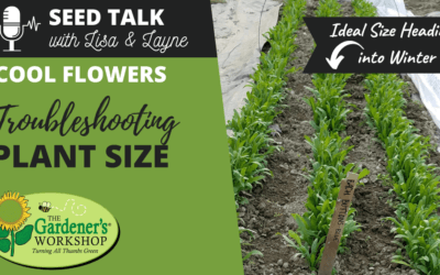 #16 – Cool Flowers – Troubleshooting Plant Size