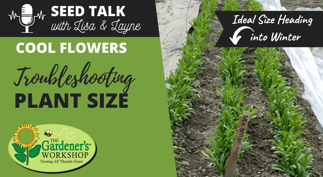 #16 – Cool Flowers – Troubleshooting Plant Size