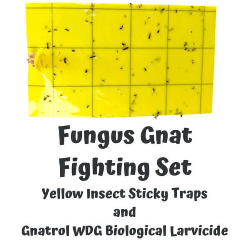Fungus-Gnat-Fighting-Set-.jpg