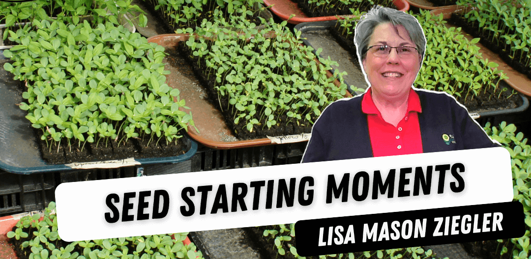 Seed Starting Moments with Lisa Mason Ziegler