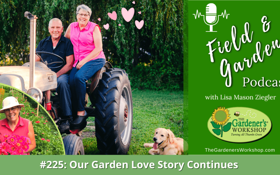 #225: Our Garden Love Story Continues
