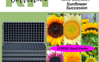 Sunflower Succession Seed Collection and Plug Tray Kit*