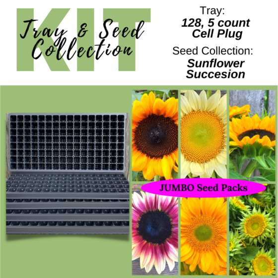 sunflower succession and 5 plug trays (1) (1)