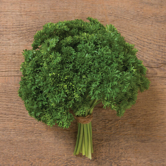 HPA1 - Parsley_ Curly_ Darki (Original from JSS)