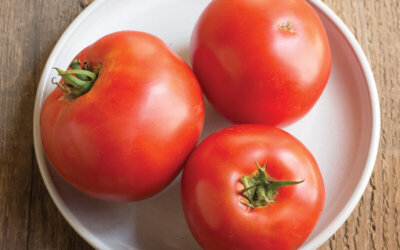 Tomato, Beefsteak ‘Big Beef’ (F1)