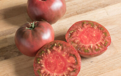 Tomato, Slicing ‘Cherokee Purple’