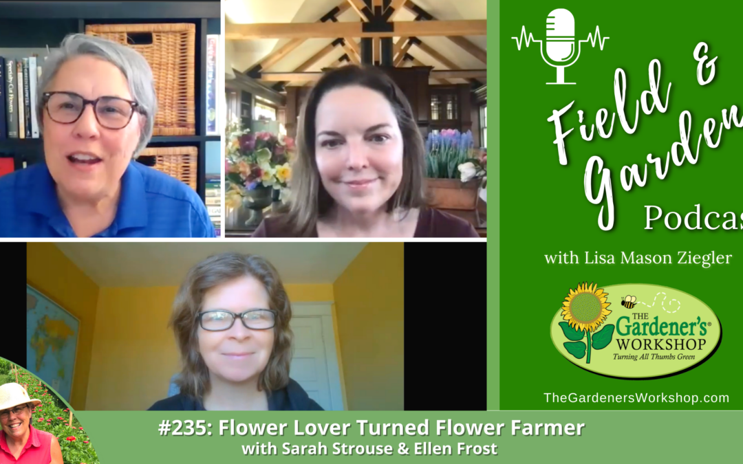 #235: Flower Lover Turned Flower Farmer with Sarah Strouse & Ellen Frost