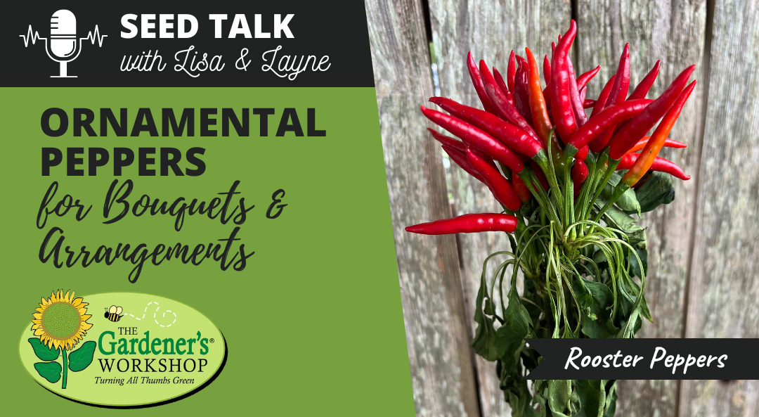 #32 – Ornamental Peppers for Bouquets & Arrangements