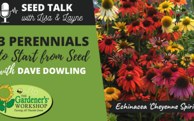 #33 – 3 Perennials to Start from Seed with Dave Dowling