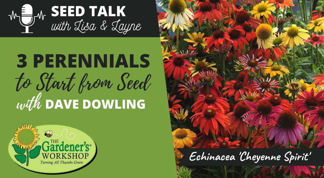 #33 – 3 Perennials to Start from Seed with Dave Dowling