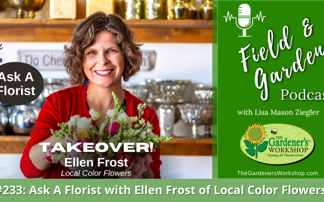 #233: Ask A Florist with Ellen Frost of Local Color Flowers