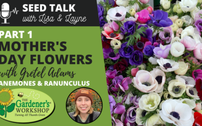 #35 – Mother’s Day Flowers, Part 1 – Anemones & Ranunculus with Gretel Adams