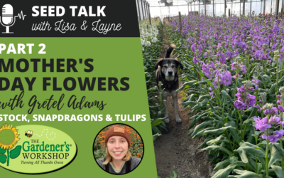 #36 – Mother’s Day Flowers, Part 2 – Stock, Snapdragons & Tulips with Gretel Adams