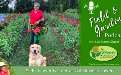 #240: Flower Farmer or Cut Flower Grower?