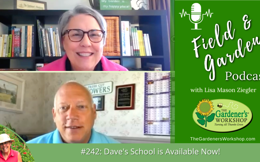 #242: Dave’s Online School is Available Now!