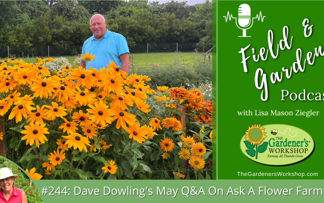 #244: Dave Dowling’s May Q&A On Ask A Flower Farmer