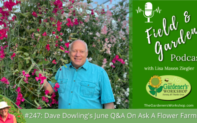 #247: Dave Dowling’s June Q&A on Ask A Flower Farmer
