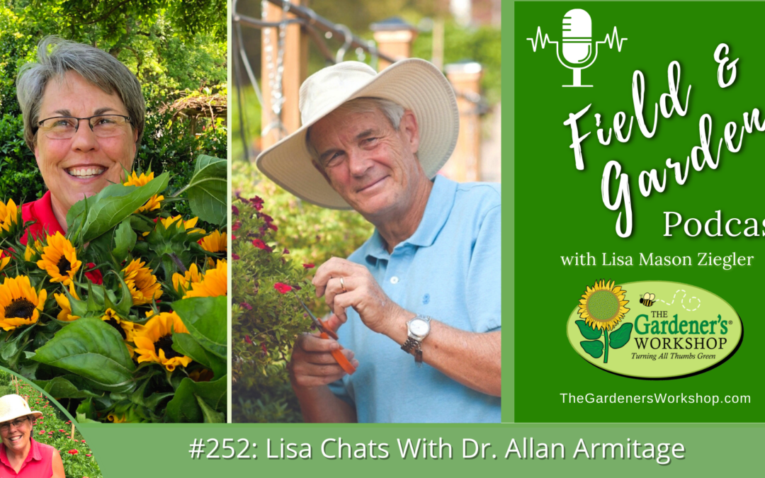 #252: Lisa Chats With Dr. Allan Armitage
