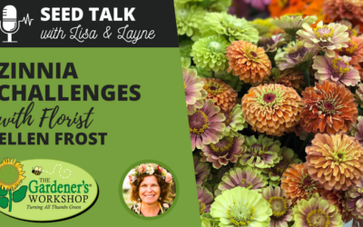 #52 – Zinnia Challenges with Florist Ellen Frost