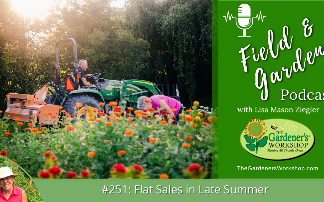 #251: Flat Sales in Late Summer