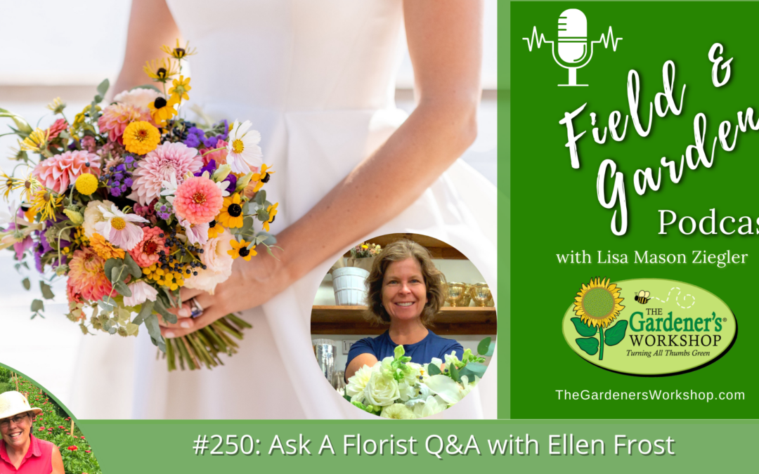 #250: Ask A Florist Q&A with Ellen Frost