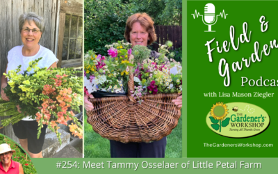 #254: Meet Tammy Osselaer of Little Petal Farm