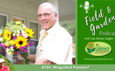 #255: Misguided Passion?