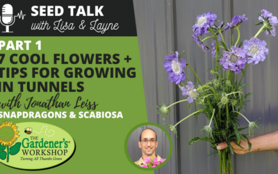 #53 – 7 Cool Flowers Plus Tips for Growing in Tunnels, Part 1 – Snapdragons & Scabiosa with Jonathan Leiss