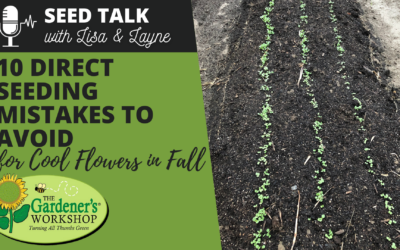 #55 – 10 Direct Seeding Mistakes to Avoid for Cool Flowers in Fall