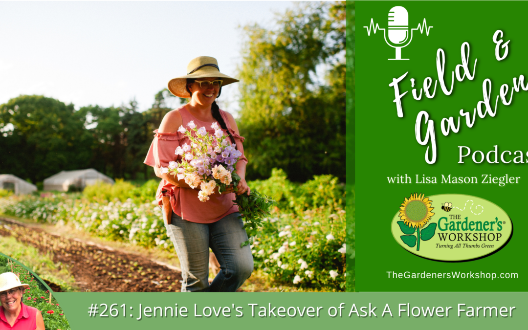 #261: Jennie Love’s Takeover of Ask A Flower Farmer