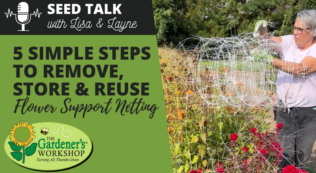 #59 – 5 Simple Steps to Remove, Store & Reuse Flower Support Netting
