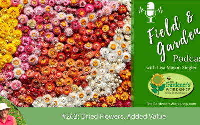 #263: Dried Flowers, Added Value