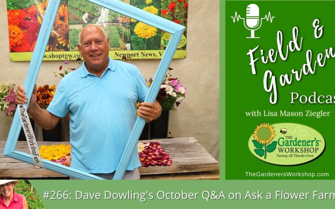 #266: Dave Dowling’s October Q&A on Ask a Flower Farmer