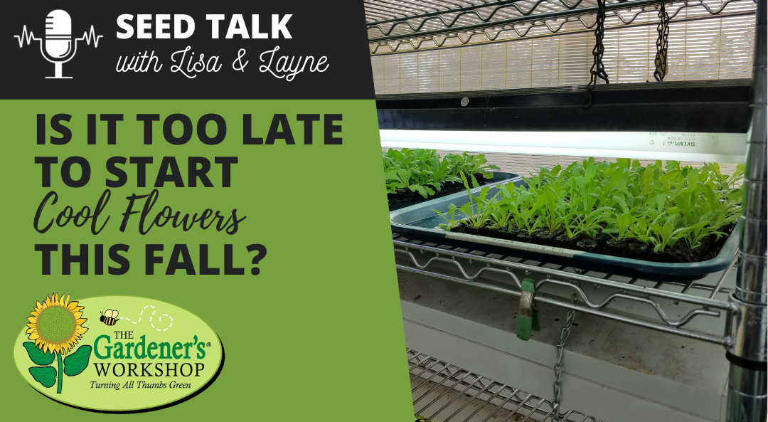 #61 – Is It Too Late to Start Cool Flowers This Fall?