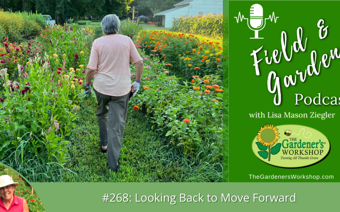 #268: Looking Back to Move Forward