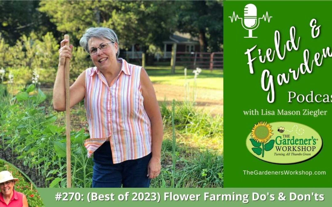 #270: (Best of 2023) Flower Farming Do’s & Don’ts