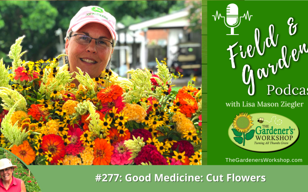 #277: Good Medicine: Cut Flowers