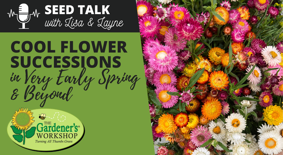 #75 – Cool Flower Succession Planting in Very Early Spring & Beyond