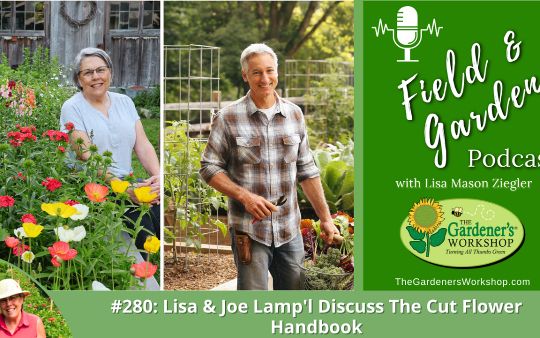 #280: Lisa & Joe Lamp’l Discuss The Cut Flower Handbook