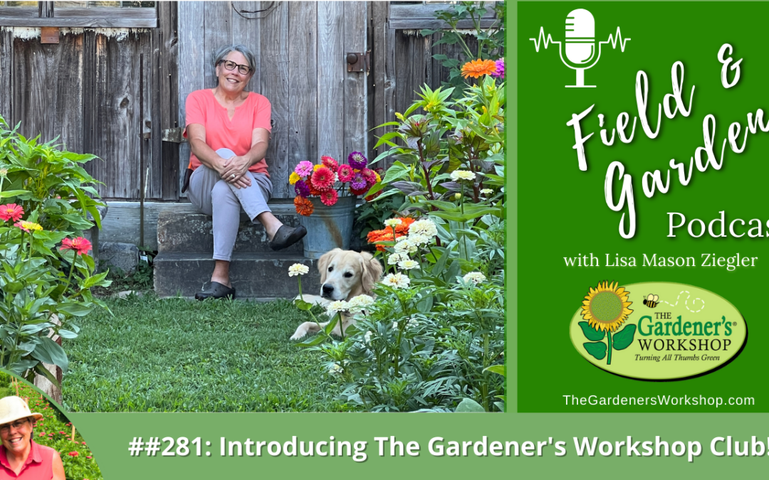 #281: Introducing The Gardener’s Workshop Club!