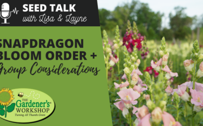 #82 – Snapdragon Bloom Order & Group Considerations