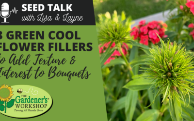 #80 – 3 Green Cool Flower Fillers to Add Texture & Interest to Bouquets