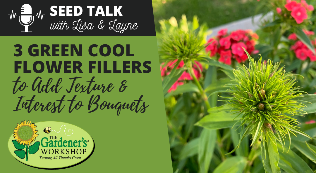 #80 – 3 Green Cool Flower Fillers to Add Texture & Interest to Bouquets