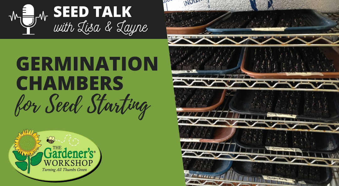 #81 – Germination Chambers for Seed Starting